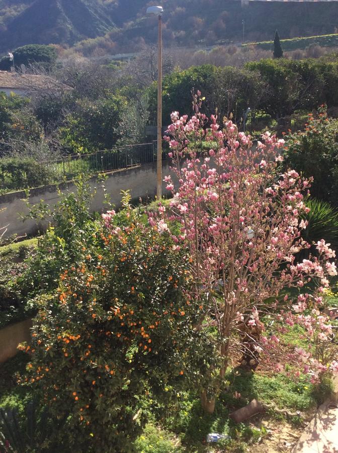 טרופאה Villa Saturno מראה חיצוני תמונה