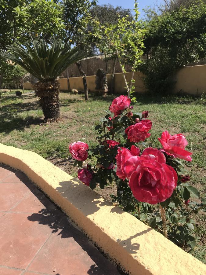 טרופאה Villa Saturno מראה חיצוני תמונה